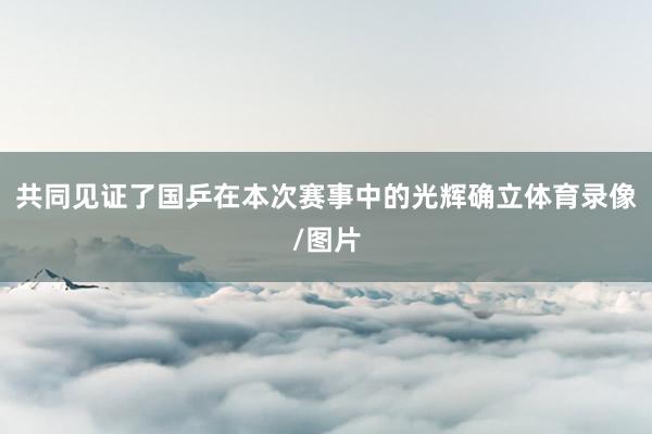 共同见证了国乒在本次赛事中的光辉确立体育录像/图片