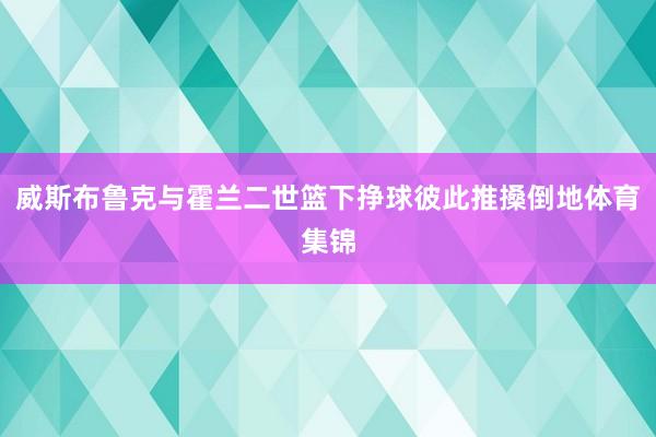 威斯布鲁克与霍兰二世篮下挣球彼此推搡倒地体育集锦