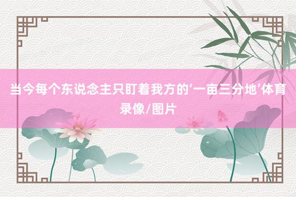 当今每个东说念主只盯着我方的‘一亩三分地’体育录像/图片