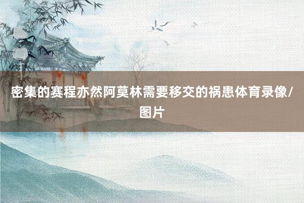 密集的赛程亦然阿莫林需要移交的祸患体育录像/图片