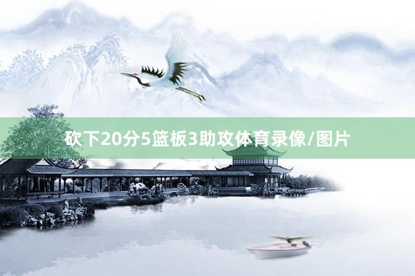 砍下20分5篮板3助攻体育录像/图片