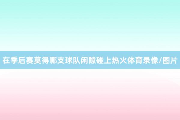 在季后赛莫得哪支球队闲隙碰上热火体育录像/图片