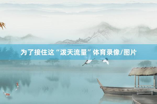 为了接住这“泼天流量”体育录像/图片