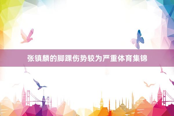 张镇麟的脚踝伤势较为严重体育集锦