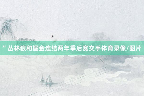 ”丛林狼和掘金连结两年季后赛交手体育录像/图片