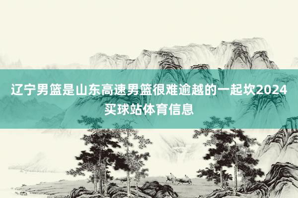辽宁男篮是山东高速男篮很难逾越的一起坎2024买球站体育信息