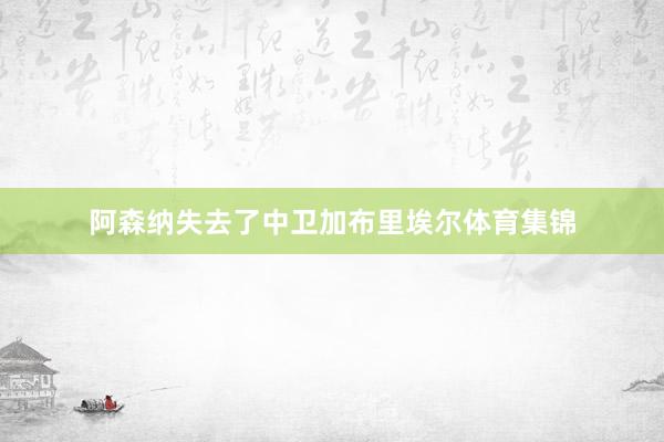 阿森纳失去了中卫加布里埃尔体育集锦