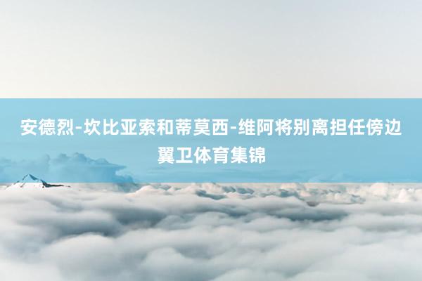 安德烈-坎比亚索和蒂莫西-维阿将别离担任傍边翼卫体育集锦