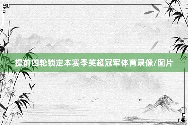 提前四轮锁定本赛季英超冠军体育录像/图片