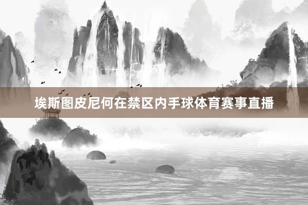 埃斯图皮尼何在禁区内手球体育赛事直播