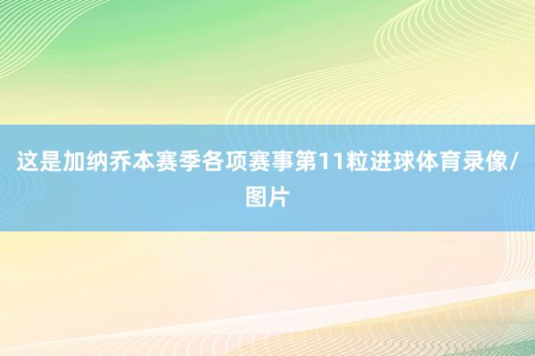 这是加纳乔本赛季各项赛事第11粒进球体育录像/图片
