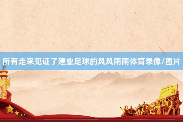 所有走来见证了建业足球的风风雨雨体育录像/图片