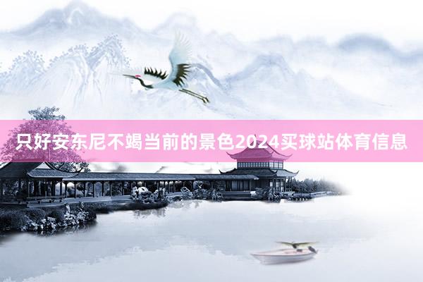 只好安东尼不竭当前的景色2024买球站体育信息