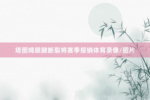 塔图姆跟腱断裂将赛季报销体育录像/图片