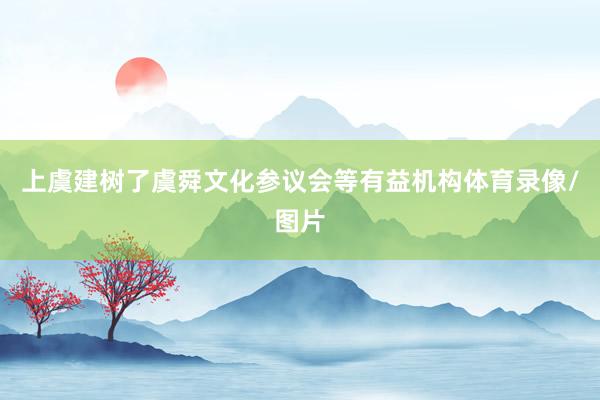 上虞建树了虞舜文化参议会等有益机构体育录像/图片