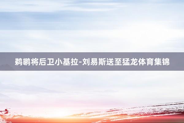鹈鹕将后卫小基拉-刘易斯送至猛龙体育集锦