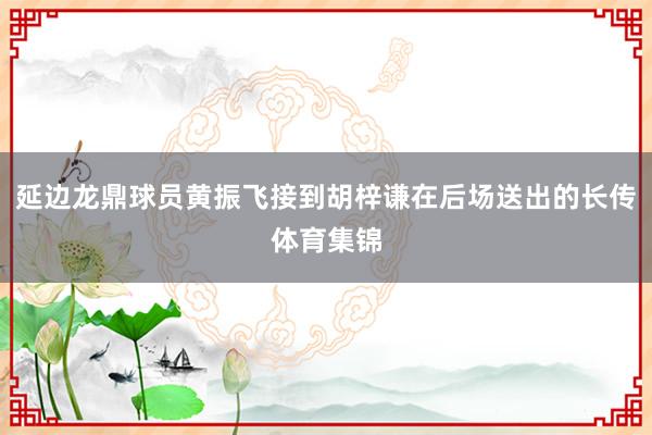 延边龙鼎球员黄振飞接到胡梓谦在后场送出的长传体育集锦