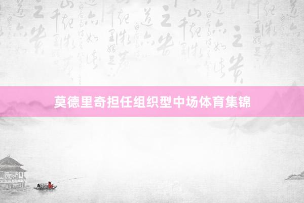 莫德里奇担任组织型中场体育集锦