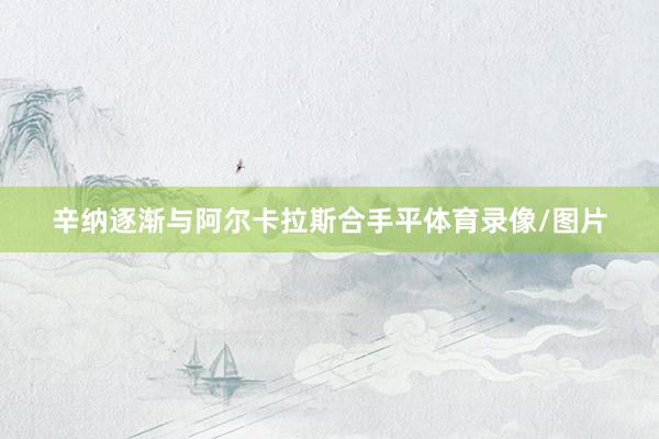 辛纳逐渐与阿尔卡拉斯合手平体育录像/图片