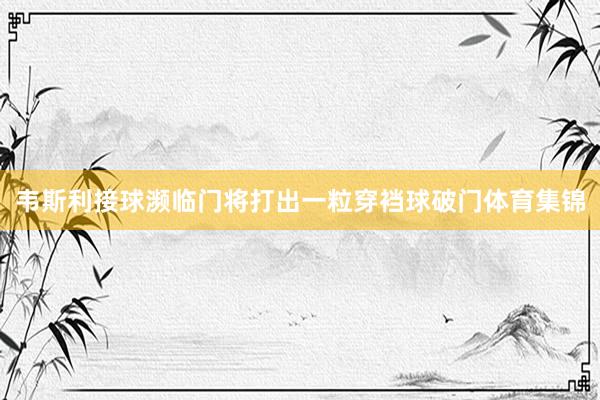 韦斯利接球濒临门将打出一粒穿裆球破门体育集锦