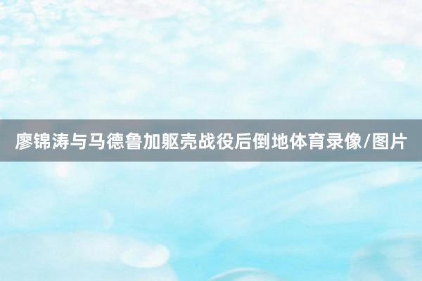 廖锦涛与马德鲁加躯壳战役后倒地体育录像/图片