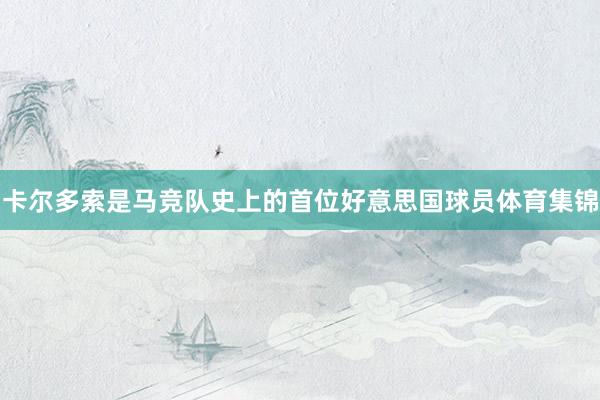 卡尔多索是马竞队史上的首位好意思国球员体育集锦