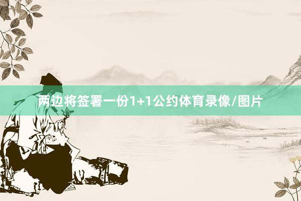 两边将签署一份1+1公约体育录像/图片