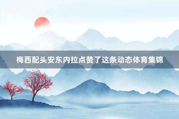 梅西配头安东内拉点赞了这条动态体育集锦