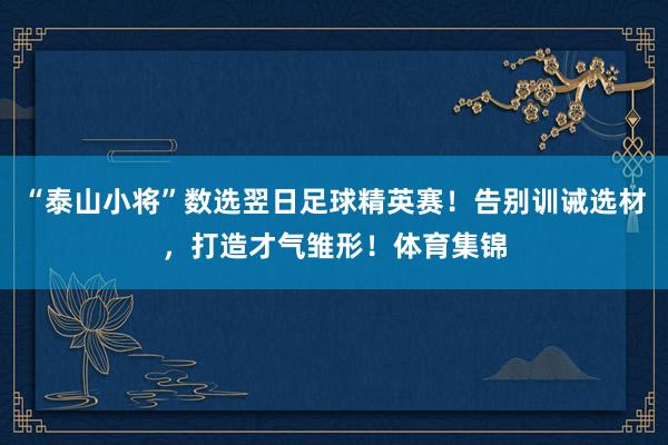 “泰山小将”数选翌日足球精英赛！告别训诫选材，打造才气雏形！体育集锦