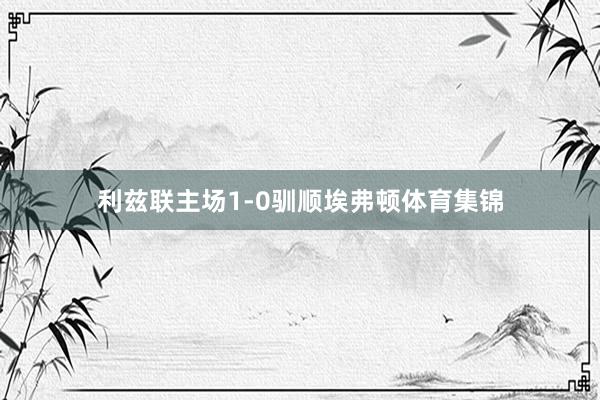 利兹联主场1-0驯顺埃弗顿体育集锦