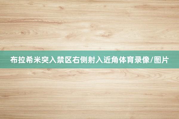布拉希米突入禁区右侧射入近角体育录像/图片