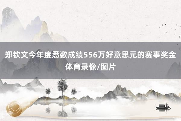 郑钦文今年度悉数成绩556万好意思元的赛事奖金体育录像/图片