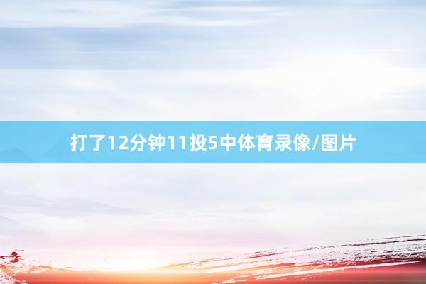 打了12分钟11投5中体育录像/图片