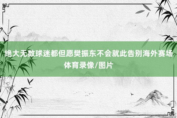 绝大无数球迷都但愿樊振东不会就此告别海外赛场体育录像/图片