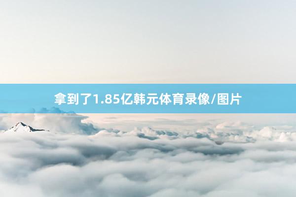 拿到了1.85亿韩元体育录像/图片