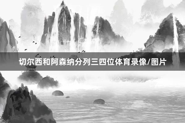 切尔西和阿森纳分列三四位体育录像/图片