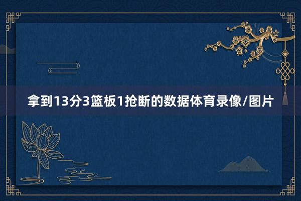 拿到13分3篮板1抢断的数据体育录像/图片