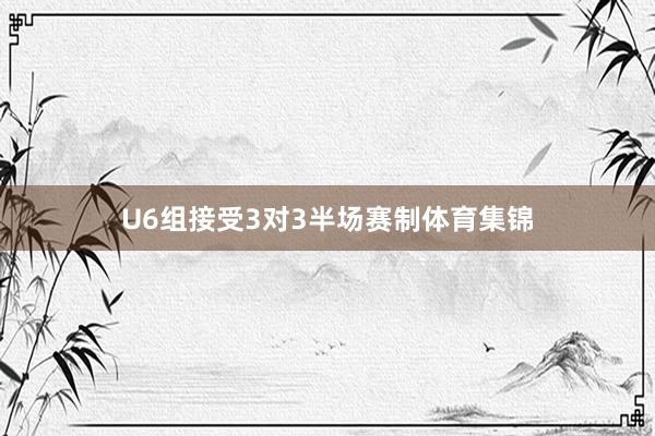 U6组接受3对3半场赛制体育集锦