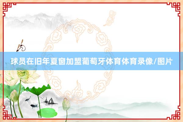 球员在旧年夏窗加盟葡萄牙体育体育录像/图片