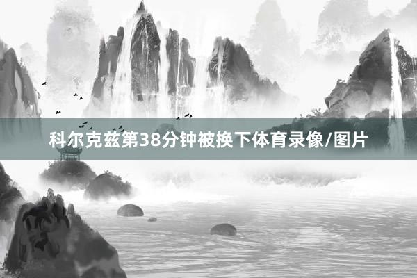 科尔克兹第38分钟被换下体育录像/图片