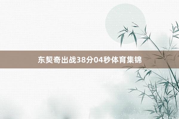 东契奇出战38分04秒体育集锦