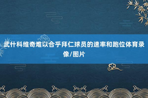 武什科维奇难以合乎拜仁球员的速率和跑位体育录像/图片