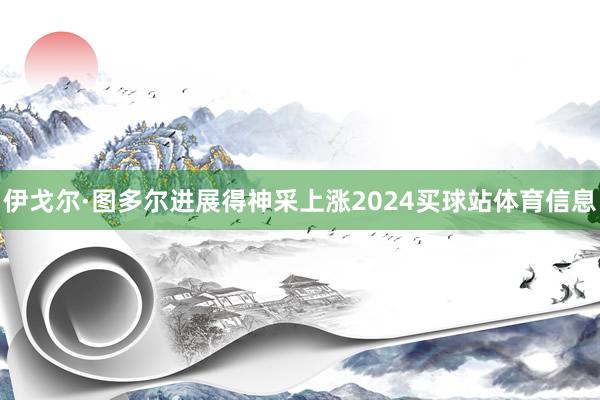 伊戈尔·图多尔进展得神采上涨2024买球站体育信息