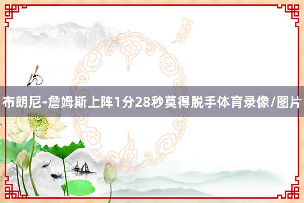 布朗尼-詹姆斯上阵1分28秒莫得脱手体育录像/图片